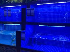 -食悦江南·淮扬菜·烤鸭(亚运村·惠新店)