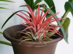 -三旗百汇商品城