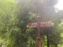 -青城山
