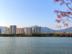 -飞来湖湿地公园