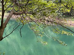 -鼎湖山风景区