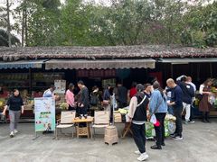 -瑞丽独树成林风景区