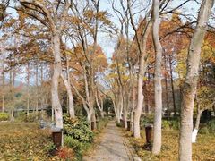 -杭州植物园