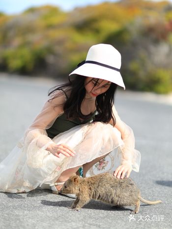 澳洲旅行|西澳一定要去看微笑的袋鼠萌炸