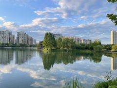 -洋湖国家湿地公园