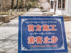 -罗布林卡