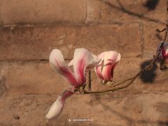 -东华门大街小区