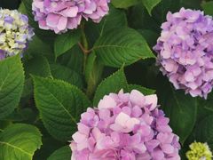 -常州古运河南大街文化旅游区-人民公园