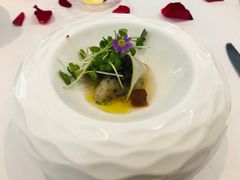 -蝶舍·MAISON PAPILLON