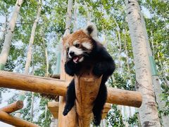 -北京野生动物园