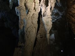 景点-怀托摩萤火虫洞