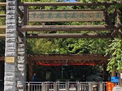 -牛背梁国家森林公园