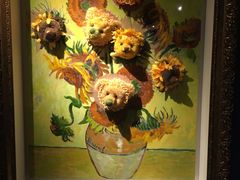 -成都泰迪熊博物馆