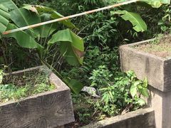 -南海湾森林生态园