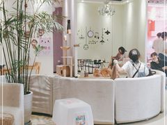 -藏猫猫咖啡主题馆(中央大道店)