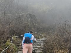 -北京鹫峰国家森林公园