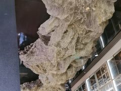 -顶特勒·黄鱼馆·特色菜(上海大世界店)