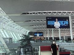 -合肥新桥国际机场-航站楼