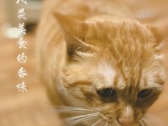 -東更道点心行(文化东路店)