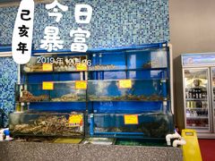 水产区-蚝专家(北滘店)