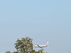-空港花田景区