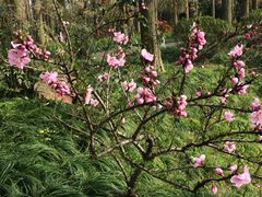 iphone_upload_pic-上海怡沁园度假酒店