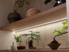 -周家二小姐的菜·扬州菜·香炒蟹·狮子头(江都金鹰店)