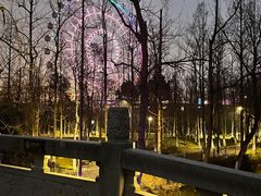-洋湖国家湿地公园