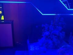 -唛歌KTV(城西银泰店)