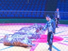 -西安秦岭野生动物园