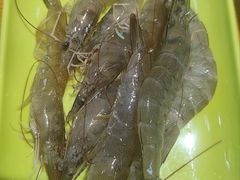 -养牛邓·潮汕牛肉海鲜自助火锅(广州店)