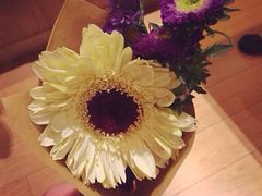 Gloria&nbsp;Jean's&nbsp;Coffees(浦东南路店)-Gloria Jean's Coffees