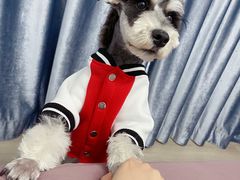 -创凡宠物医院·骨专科  猫科中心(西乡分院)