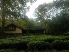 -法云古村