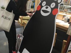 -台场海滨公园船码头