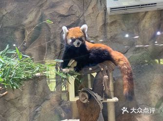 在武汉呆了十年，还是第一次来极地海洋世界