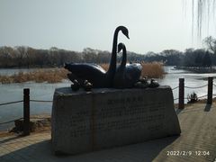 -圆明园停车场