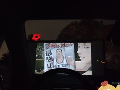 -枫花园汽车电影院(朝阳公园店)