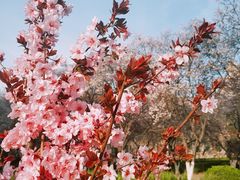 -山东师范大学(千佛山校区)