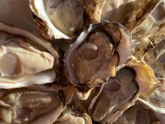 -千岛蚝高压锅生蚝·人参火锅(白云万达店)