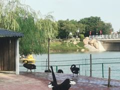 -琅岐红光湖公园