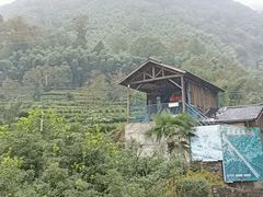 -藏龙百瀑风景区