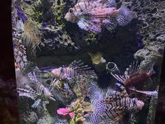 -太平洋海底世界