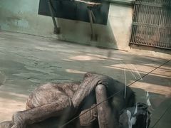 -石家庄市动物园