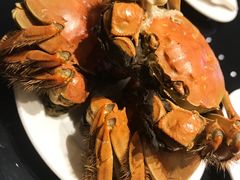 大闸蟹-上海虹桥宾馆味翠餐厅