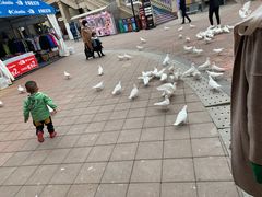 -王府井奥莱临潼小镇(临潼店)