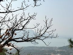-北京十三陵国家森林公园蟒山景区