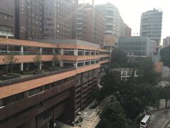 -香港大学