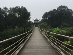 -铁山坪森林公园