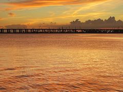 -宝安西湾红树林湿地公园